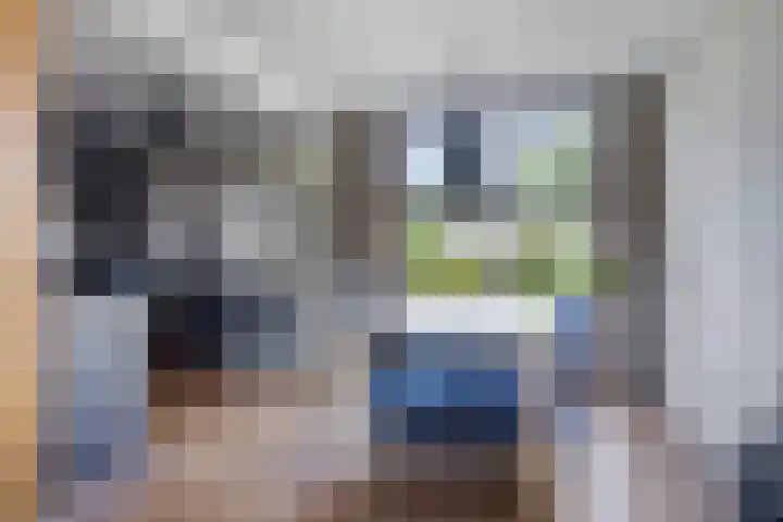 van Aylvalaan 15 Mildam thumbnail 9