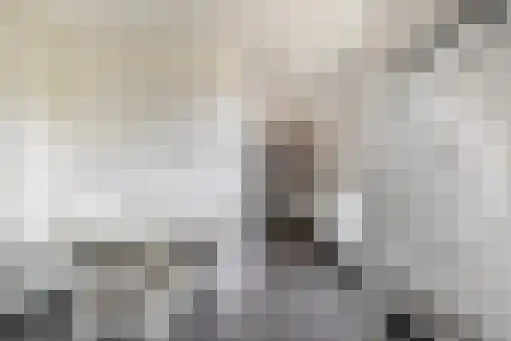 van Aylvastraat 7 Kollum thumbnail 19