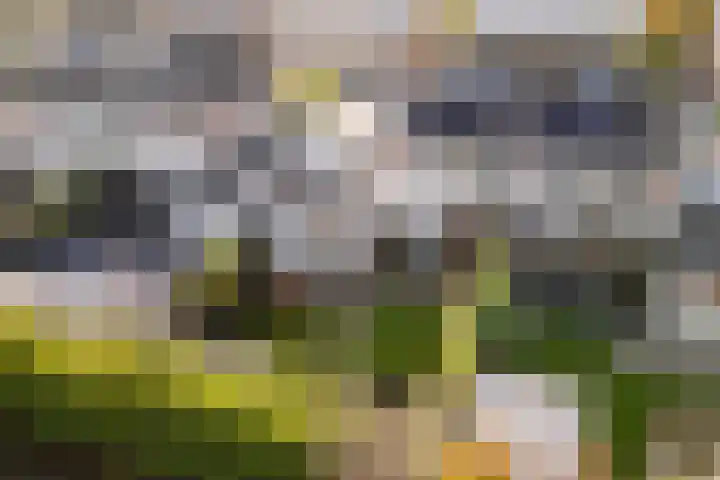 van Aylvastraat 7 Kollum foto 2