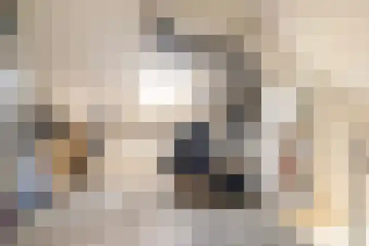 van Aylvastraat 7 Kollum thumbnail 32