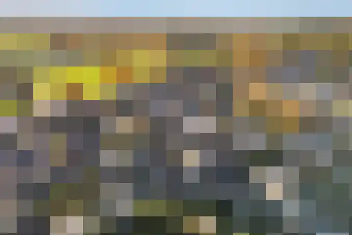 van Aylvastraat 7 Kollum thumbnail 35