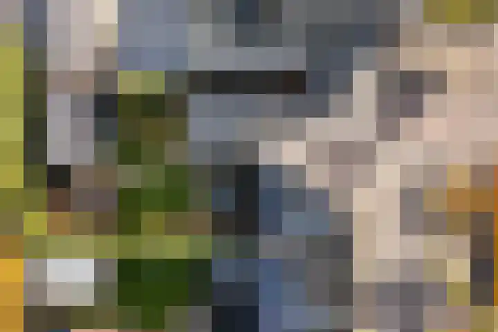 van Aylvastraat 7 Kollum thumbnail 38