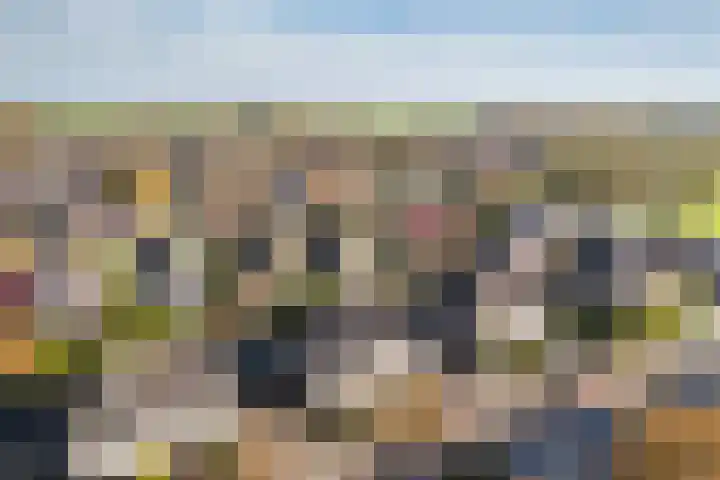 van Aylvastraat 7 Kollum thumbnail 40