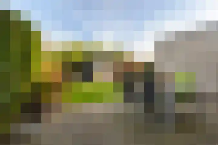 van Aylvastraat 7 Kollum thumbnail 44