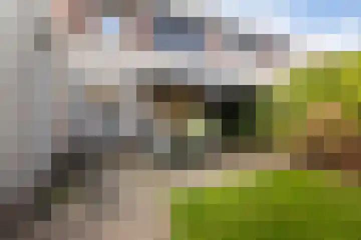 van Aylvastraat 7 Kollum thumbnail 45