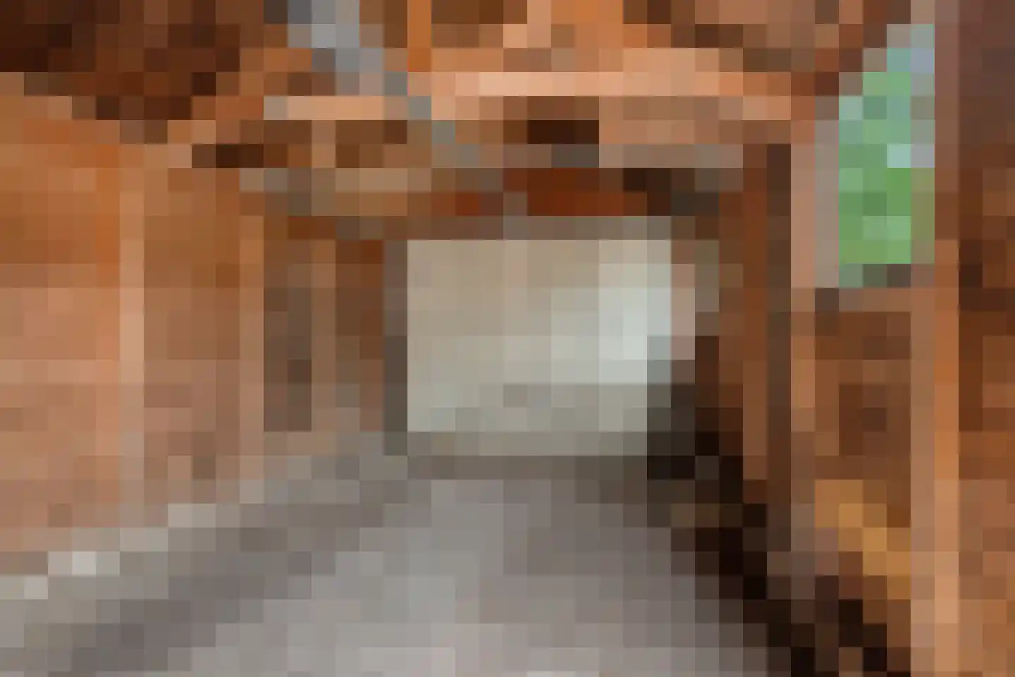 Van Aylvawâl 10 Holwert thumbnail 24