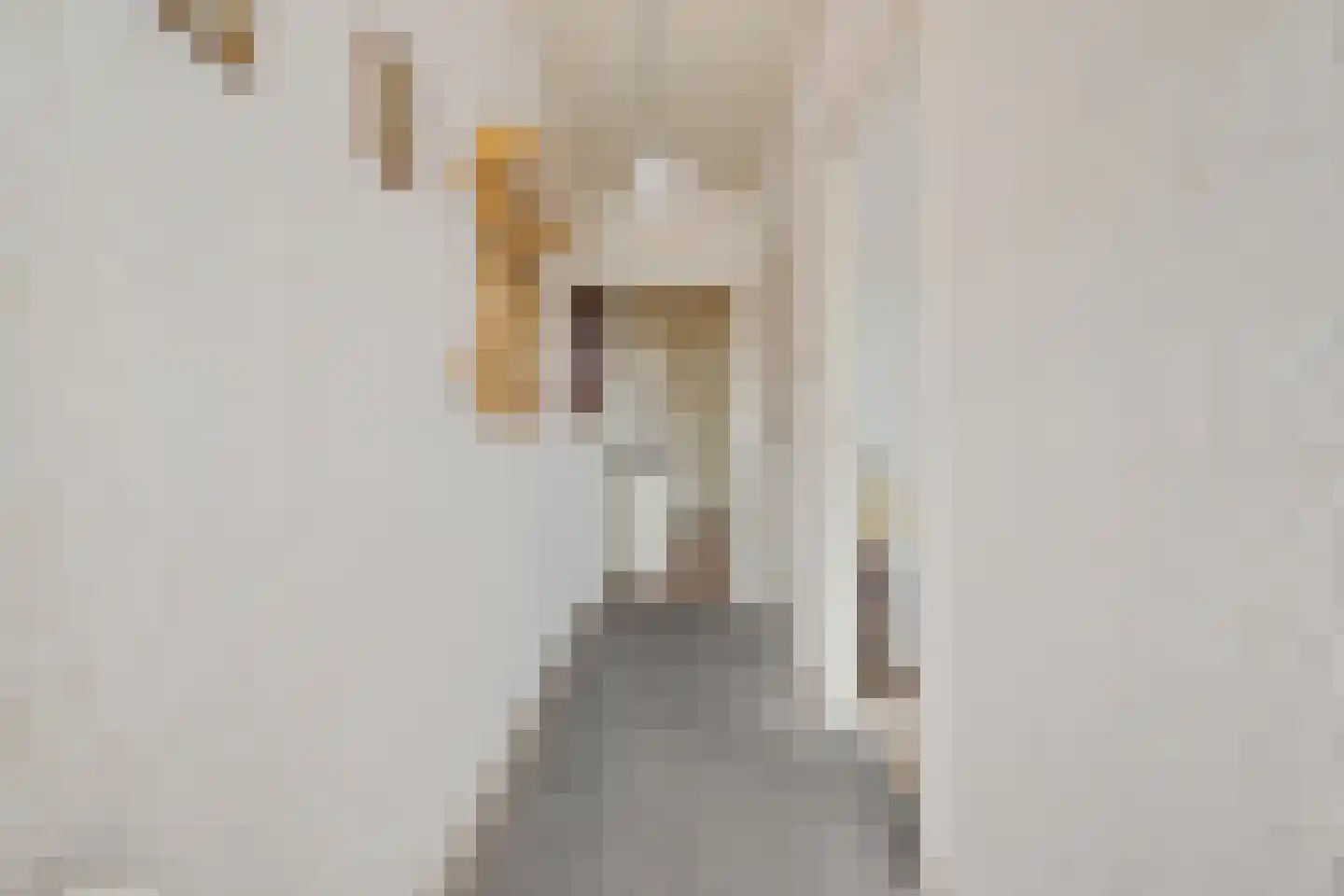 Van Aylvawâl 10 Holwert thumbnail 5