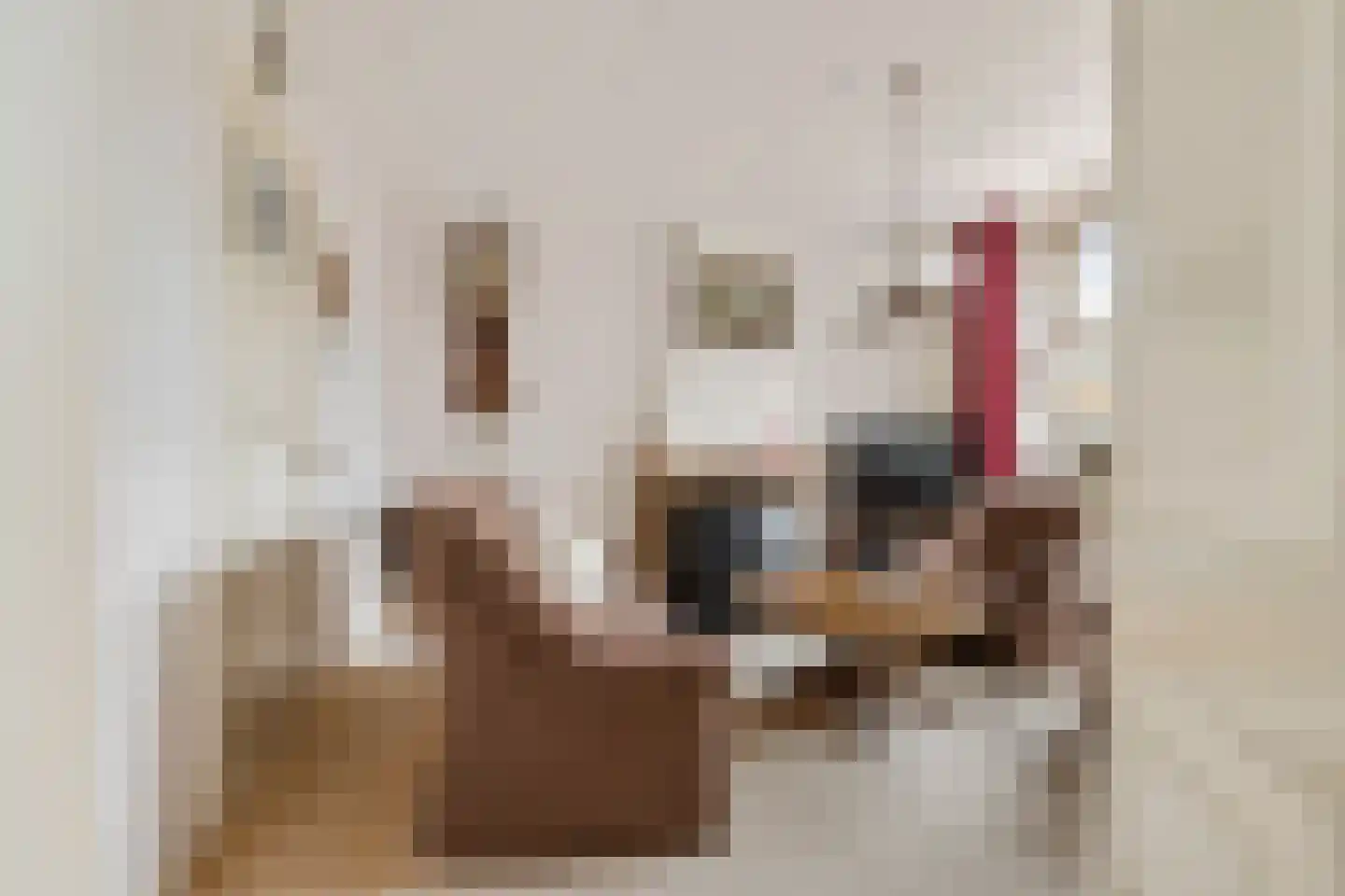 Van Aylvawâl 10 Holwert thumbnail 6
