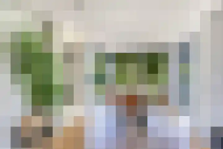 van Aylvaweg 38 A Witmarsum thumbnail 10