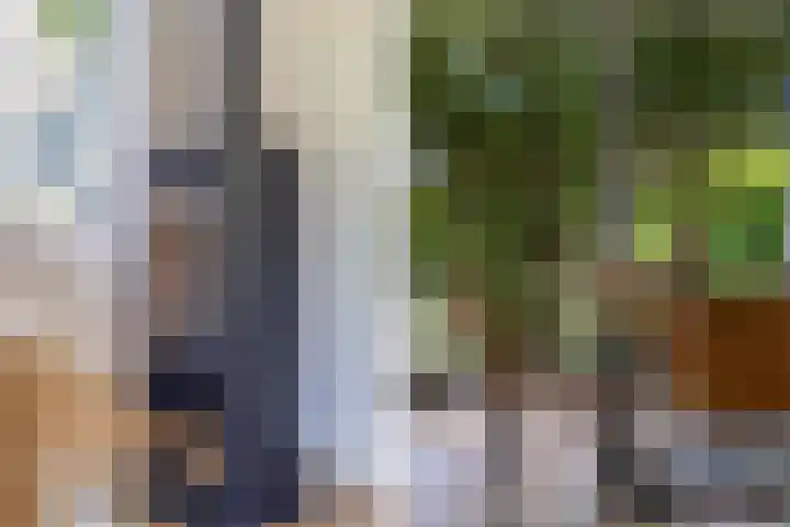 van Aylvaweg 38 A Witmarsum thumbnail 13