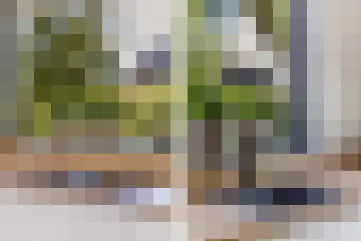 van Aylvaweg 38 A Witmarsum thumbnail 18