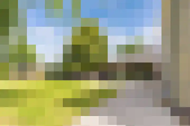 van Aylvaweg 38 A Witmarsum thumbnail 21