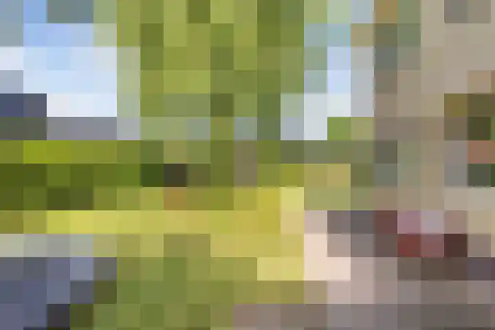van Aylvaweg 38 A Witmarsum thumbnail 24