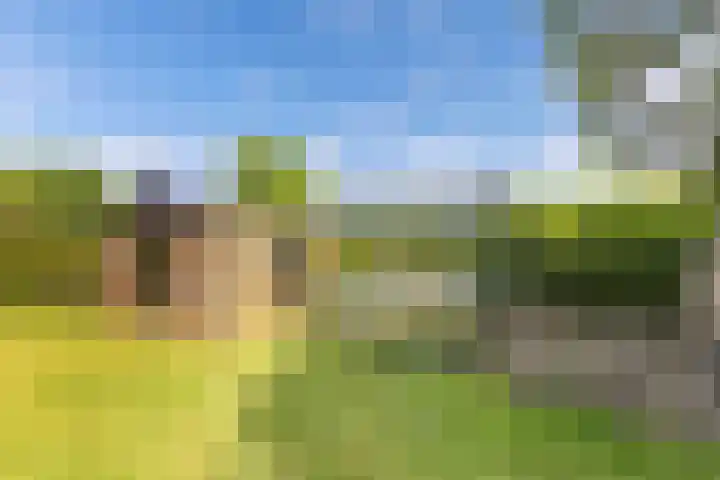 van Aylvaweg 38 A Witmarsum thumbnail 26