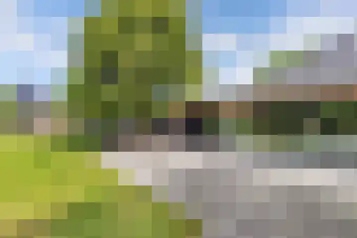 van Aylvaweg 38 A Witmarsum thumbnail 27