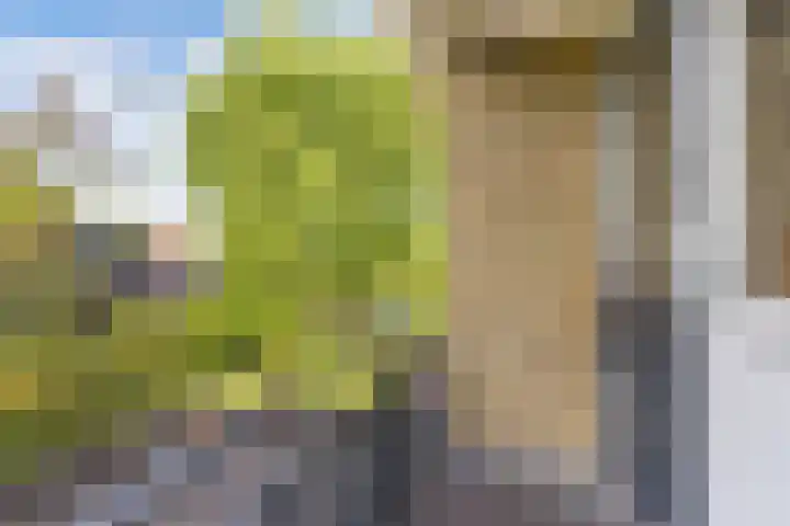 van Aylvaweg 38 A Witmarsum thumbnail 36