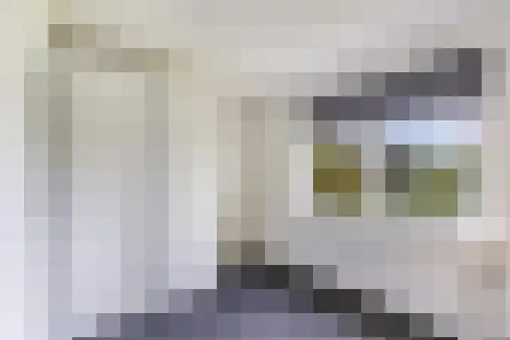 van Aylvaweg 38 A Witmarsum thumbnail 39