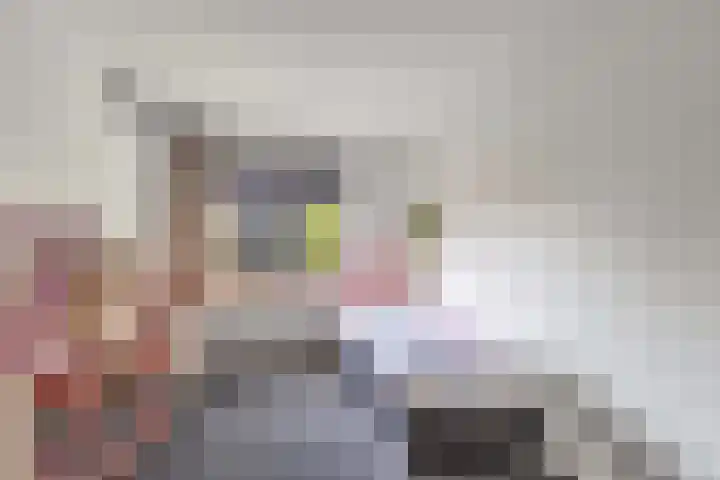 van Aylvaweg 38 A Witmarsum thumbnail 41