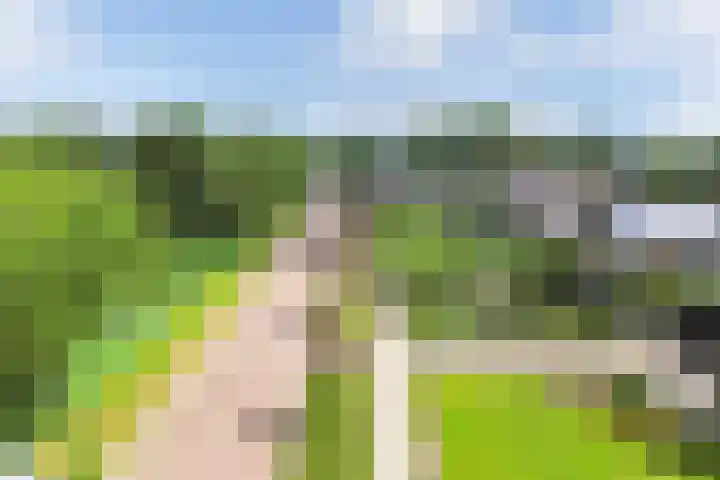 van Aylvaweg 38 A Witmarsum thumbnail 48