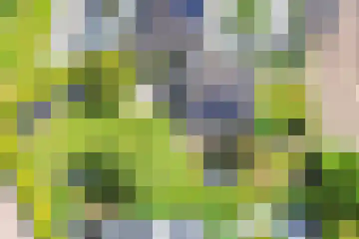 van Aylvaweg 38 A Witmarsum thumbnail 49
