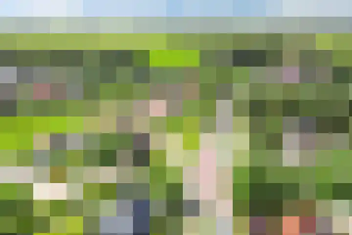 van Aylvaweg 38 A Witmarsum thumbnail 50