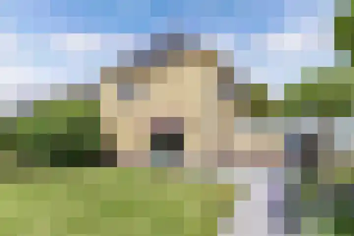 van Aylvaweg 38 A Witmarsum thumbnail 57