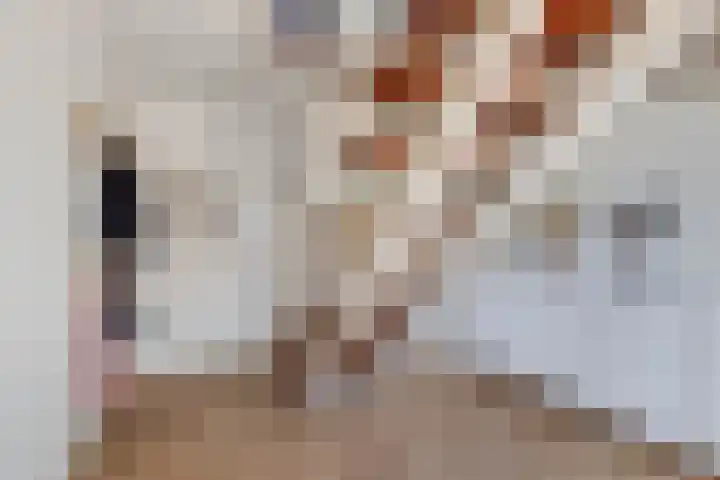 van Aylvaweg 38 A Witmarsum thumbnail 6