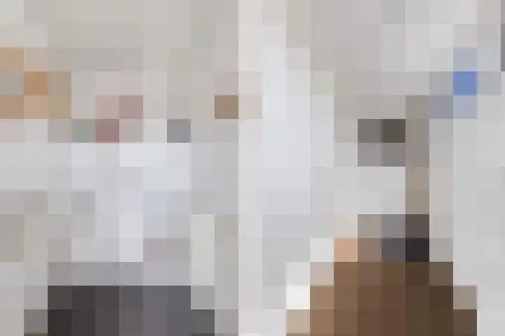 van Aylvaweg 38 A Witmarsum thumbnail 7