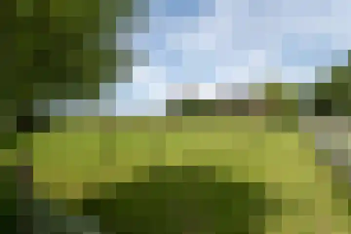 van Aylvaweg 62 Witmarsum thumbnail 10