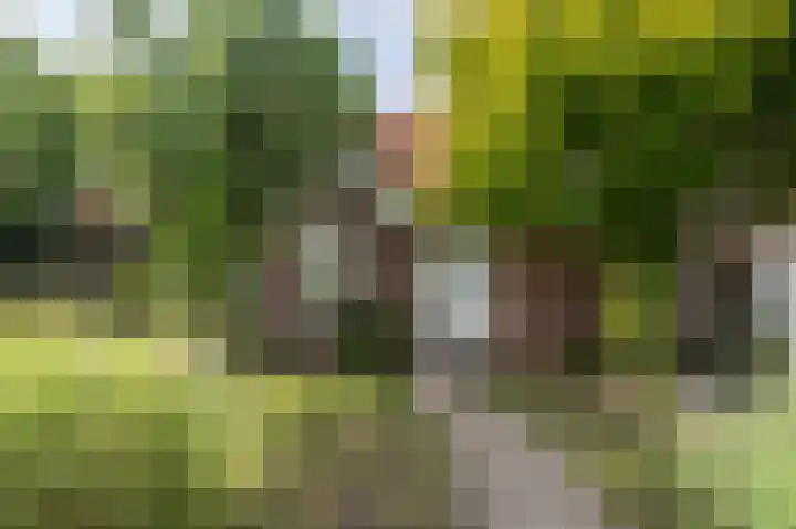 van Aylvaweg 62 Witmarsum thumbnail 11