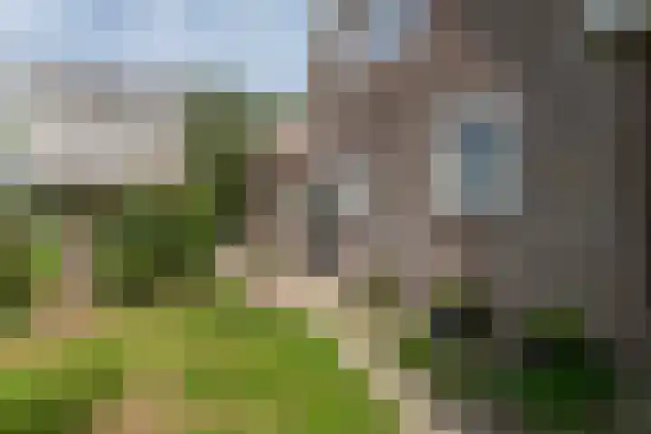 van Aylvaweg 62 Witmarsum thumbnail 13