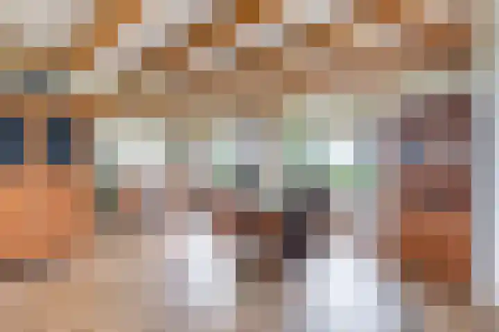 van Aylvaweg 62 Witmarsum thumbnail 18