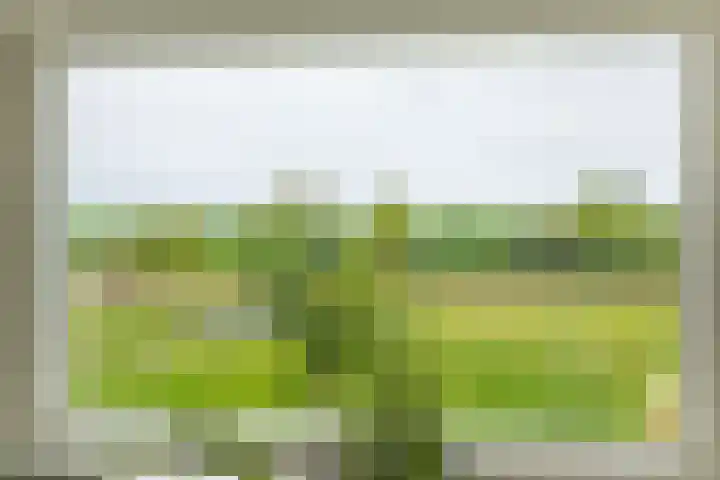 van Aylvaweg 62 Witmarsum thumbnail 28