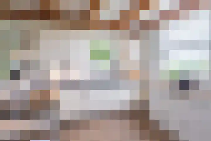 van Aylvaweg 62 Witmarsum thumbnail 31