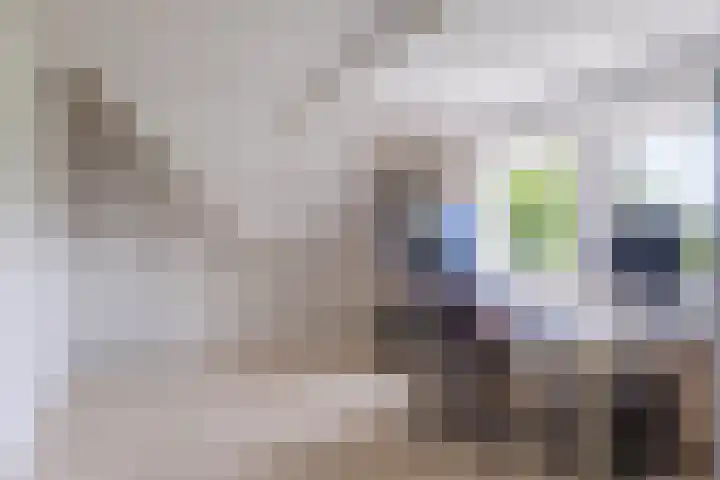 van Aylvaweg 62 Witmarsum thumbnail 35