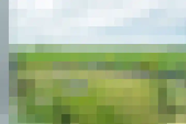 van Aylvaweg 62 Witmarsum thumbnail 42