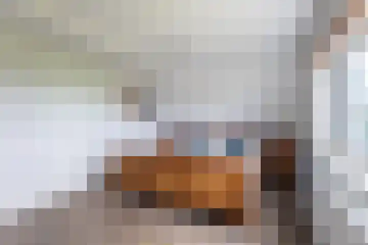 van Aylvaweg 62 Witmarsum thumbnail 44