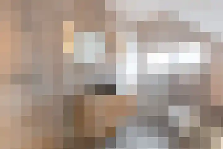 van Aylvaweg 62 Witmarsum thumbnail 48