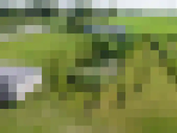 van Aylvaweg 62 Witmarsum thumbnail 52