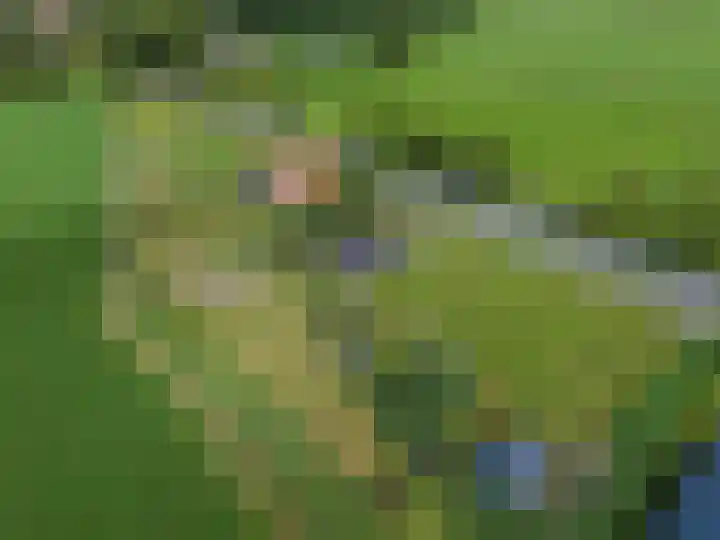 van Aylvaweg 62 Witmarsum thumbnail 55