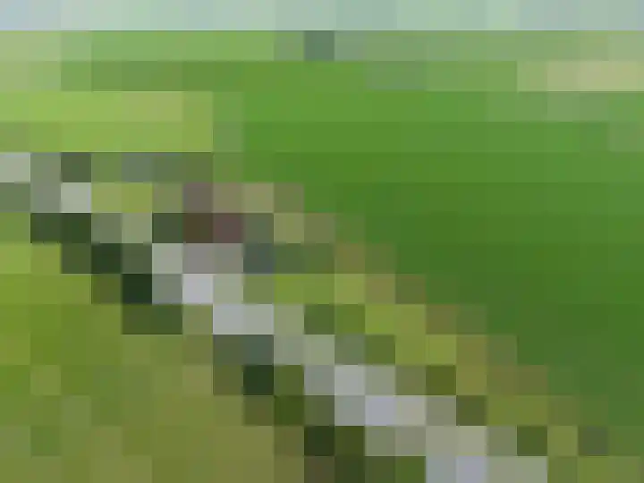van Aylvaweg 62 Witmarsum thumbnail 58