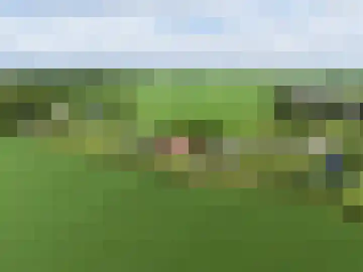 van Aylvaweg 62 Witmarsum thumbnail 59