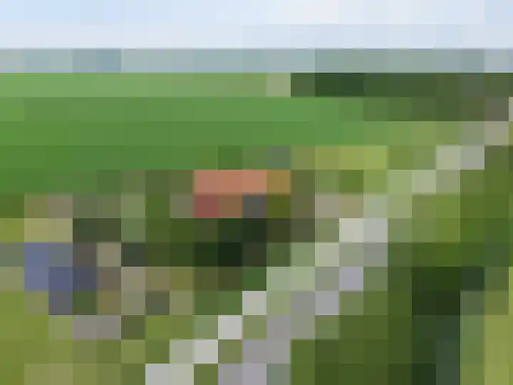 van Aylvaweg 62 Witmarsum thumbnail 6