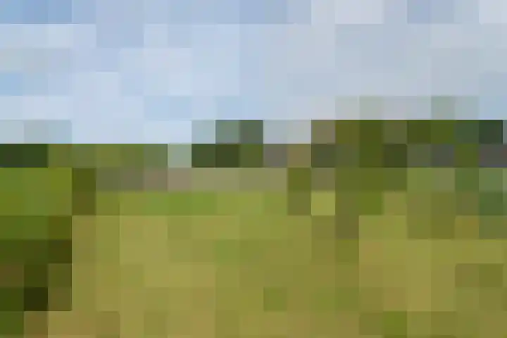 van Aylvaweg 62 Witmarsum thumbnail 60