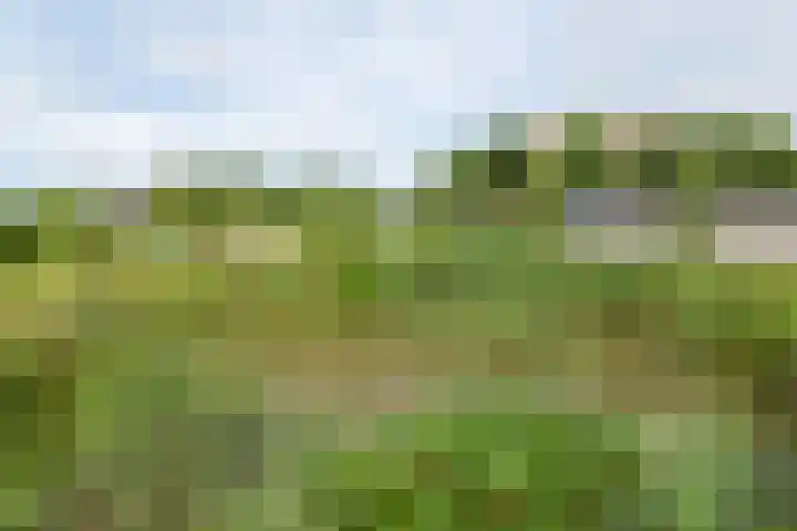 van Aylvaweg 62 Witmarsum thumbnail 61