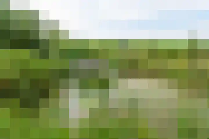 van Aylvaweg 62 Witmarsum thumbnail 62