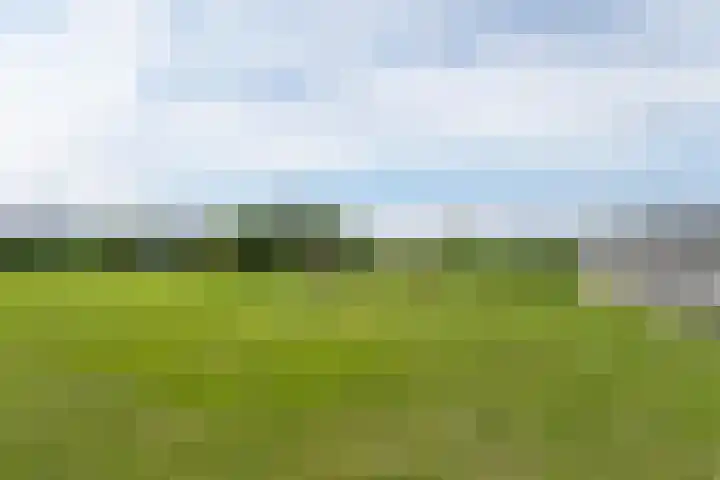 van Aylvaweg 62 Witmarsum thumbnail 63