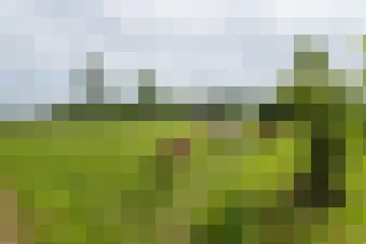 van Aylvaweg 62 Witmarsum thumbnail 64