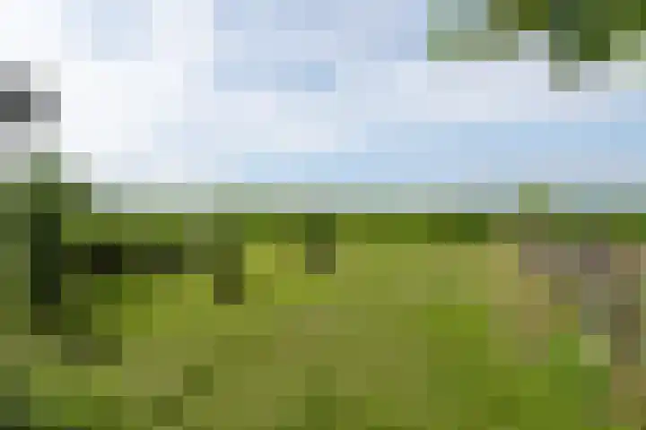 van Aylvaweg 62 Witmarsum thumbnail 65
