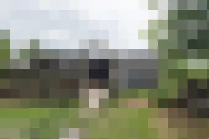van Aylvaweg 62 Witmarsum thumbnail 66